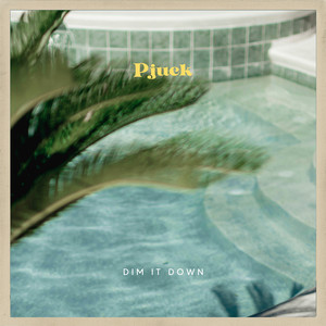 Dim It Down by Pjuck