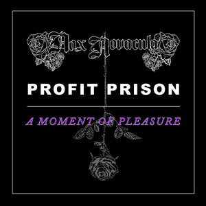 Moment Of Pleasure by Nox Novacula, Profit Prison