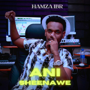 Ani Sheenawe
