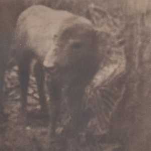 album cover: Lonesome For A Storm