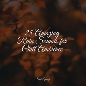25 Amazing Rain Sounds for Chill Ambience album