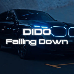 Falling Down by DIDO UZ