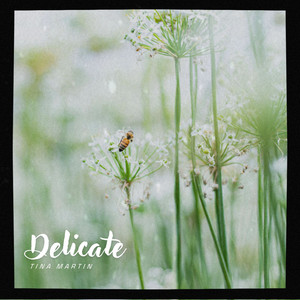 Delicate (Radio edit) by Tina Martin