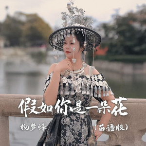 杨梦蝶 - 假如你是一朵花 (苗语版伴奏)