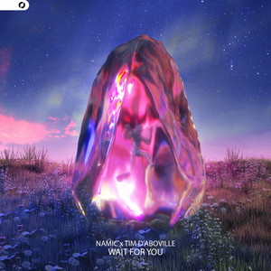 Wait For You by Namic, Tim d'Aboville