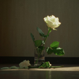 薔薇の淵まで by wata