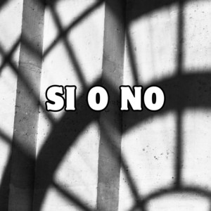si o no by el sin freno