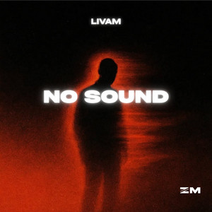 No Sound by Livam