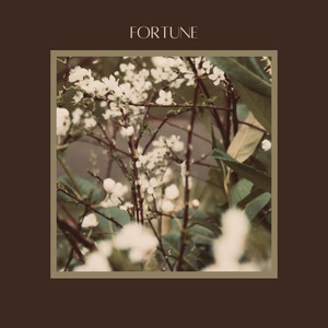Fortune