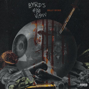 Byrds Eye View cover