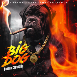Portada de Big Dog