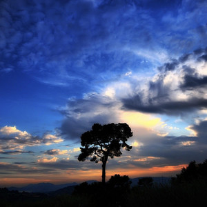 Sky High by MarcoRyann, Dastic, Hot Shade