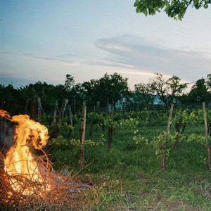 Azt Hiszem by Young Wine