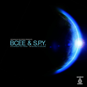 Nothing to Declare by S.P.Y cover art