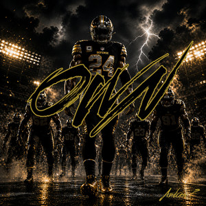 Own by Andrew P