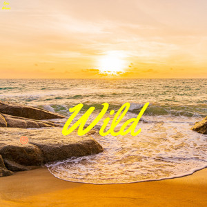 Wild album