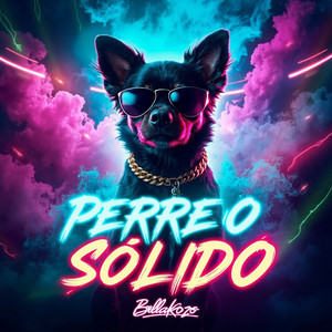 Perreo Sólido by Bellakozo