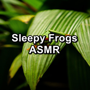Sleepy Frogs ASMR