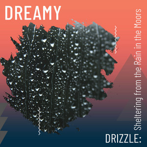 Dreamy Drizzle: Sheltering from the Rain in the Moors album
