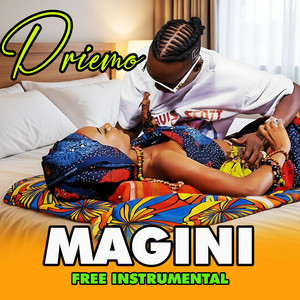 Flavour B - Driemo _ MAGINI | (Free Afrobeat Type Beat 2026)