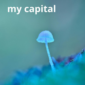 my capital by Sendakure