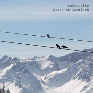 Birds in Garmisch