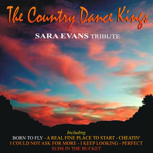 Sara Evans Tribute album