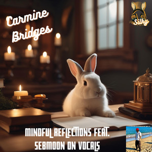 Mindful Reflections by Carmine Bridges, sebmoon