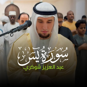 سورة يس by عبد العزيز شوكري
