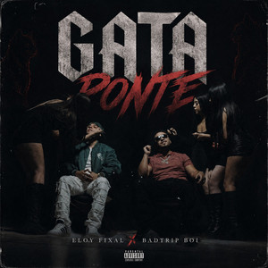 GATA PONTE by Eloy Fixal, BADTRIP BOI