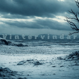 Vintervindar by Wahlberg