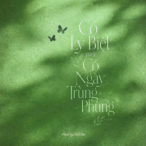 Có Ly Biệt Mới Có Ngày Trùng Phùng by FiGDee