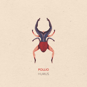 Generico by Pollio
