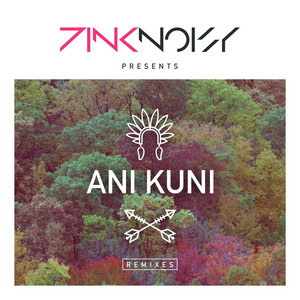 Ani Kuni (Digi Remix) by Pink Noisy, Digi