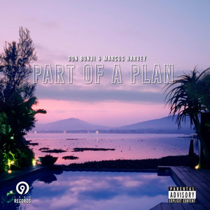 Part Of A Plan by Don Bunji, Marcus Harvey