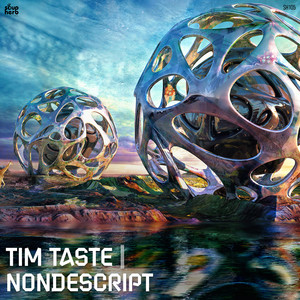 Nondescript by TiM TASTE cover art