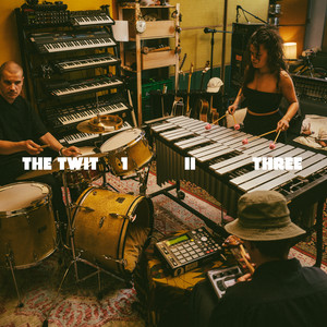Nachbar by Twit One, The Twit 1, II, Three, Turt