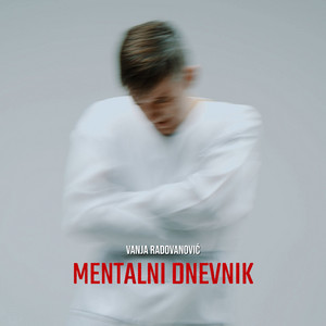 Mentalni dnevnik