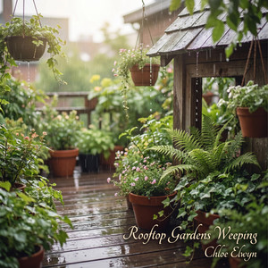 Rooftop Gardens Weeping by Chloe Elwyn