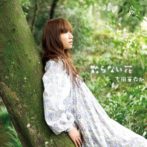 Spotify 散らない花