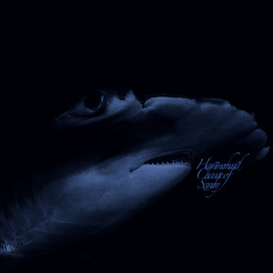 Sphyrnidae Rule Of The Oceans Joined With Tidal Lunar Forces by Rainforest Spiritual Enslavement
