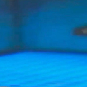 THE_NAKAIBOOBS - Apphex Ttest