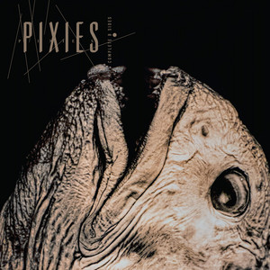 Pixies - Planet of Sound (Live - 2026 Remaster) (2026)