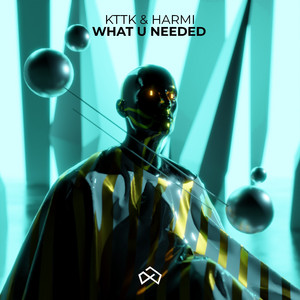 What U Needed by KTTK, Harmi