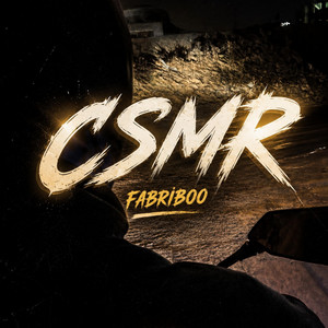 CSMR by Fabriboo