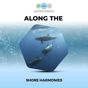 Along the Shore Harmonies album