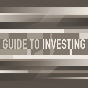 Guide To Investing by Anya Novik