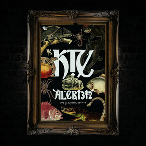 Kill the Elephantx | 05-11-13 by Alert312