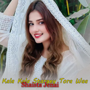 Sanam Wafa - kom kafar ba dasey wayi