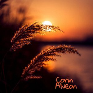 The Contents Unseen by Corin Alveon